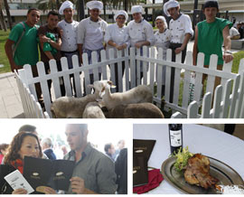Cordelia marca para la carne de cordero de mayor calidad de la provincia de Castellón