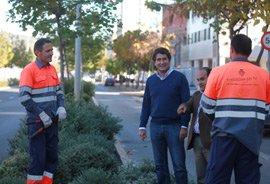 Plantación de 750 ejemplares de palmito en el entorno del Raval  Universitario