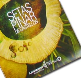 Mil guías gratuitas sobre setas del Pinar del Grao .