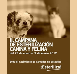 II CAMPAÑA DE ESTERILIZACIÓN CANINA Y FELINA