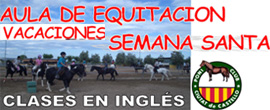 Hípica en Semana Santa: Divertida Aula de equitación en el PONI CLUB Castellón