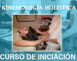 Curso de iniciación a la Kinesiología Holística