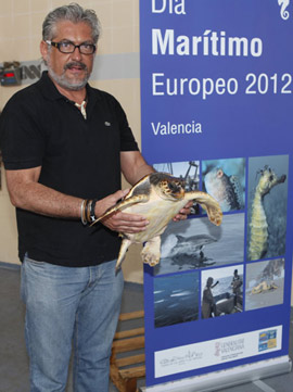 Tortuga. Nacida libre.