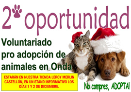 Leroy Merlin colabora con el voluntariado para la pro adopción de animales