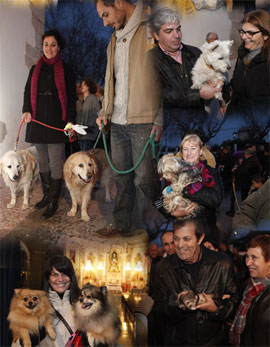 En el día de San Antonio, bendición a los animales en la Basílica de Lledó