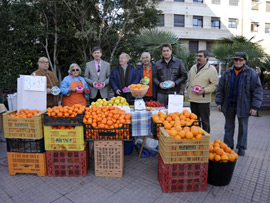 Visita al 