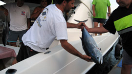 El Club Náutico de Oropesa convoca el Concurso de Pesca de Pagel para el 26 de enero