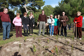 Jornada de plantación de nuevos árboles y arbustos en Parque de El Pinar del Grau