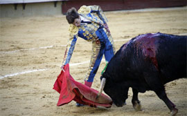 Novillada de feria Magdalena 2013
