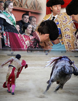 Toros de Miura, Victorino Martín y Cuadri el domingo en Castellón
