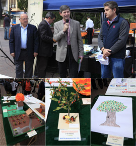 Premios del IV Concurso Escolar ‘Mercat de la Taronja 2013’