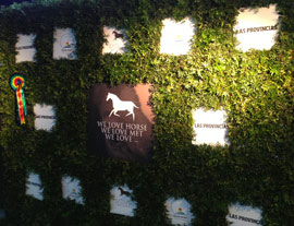 VIP Party:   We Love Horse, We Love MET, We Love...
