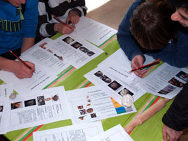 Saltapins estrena los talleres de orientación e identificación de fósiles con más de 100 alumnos
