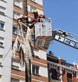 Ayer los bomberos de Castellón realizan trabajos de seguridad en la plaza de La Paz