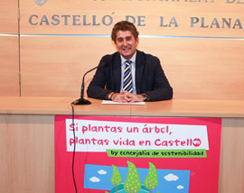 Plantación de pinos en el entorno del Mas de Xiva