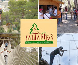 Promoción especial de Saltapins y lista de comunión en el Maestrat y Tarragona