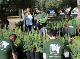 Fent Bosc, microvivero social experimental de semillas sobre asfalto