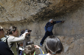 Visitas guiadas a la cueva Remígia de Ares del Maestrat