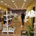 Castellón, Asociación Pro-Vida