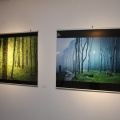 Castellón, Exposición Fotografía, Benicàssim