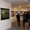 Castellón, Exposición Fotografía, Benicàssim
