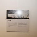 Castellón, Exposición Teatro Municipal de Benicàssim