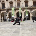 Castellón, Dinamics 2013
