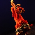 Semifinal XVII Convocatoria Nacional de Danza