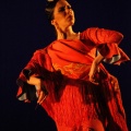 Semifinal XVII Convocatoria Nacional de Danza