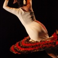 Semifinal XVII Convocatoria Nacional de Danza