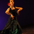 Semifinal XVII Convocatoria Nacional de Danza