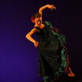 Semifinal XVII Convocatoria Nacional de Danza