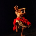 Semifinal XVII Convocatoria Nacional de Danza