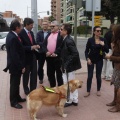 CIBER-PASS