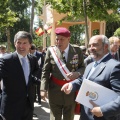 Castellón, Jura de Bandera 2013