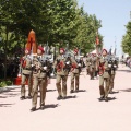Castellón, Jura de Bandera 2013