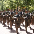 Castellón, Jura de Bandera 2013