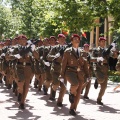 Castellón, Jura de Bandera 2013