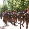 Castellón, Jura de Bandera 2013