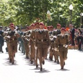 Castellón, Jura de Bandera 2013