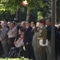 Castellón, Jura de Bandera 2013