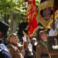 Castellón, Jura de Bandera 2013