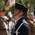Castellón, Jura de Bandera 2013