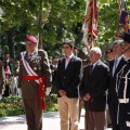 Castellón, Jura de Bandera 2013