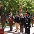 Castellón, Jura de Bandera 2013