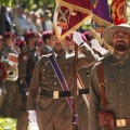 Castellón, Jura de Bandera 2013