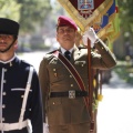 Castellón, Jura de Bandera 2013