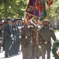 Castellón, Jura de Bandera 2013