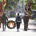 Castellón, Jura de Bandera 2013