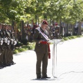 Castellón, Jura de Bandera 2013
